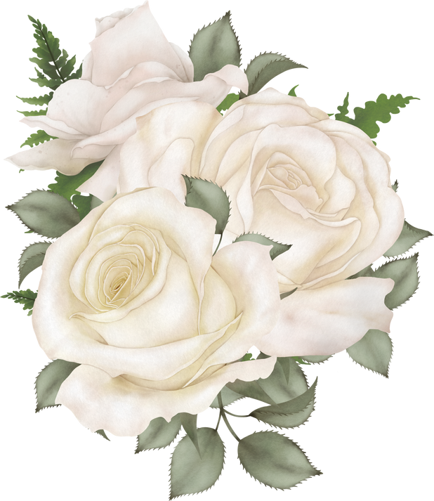 Blooming Roses Illustration
